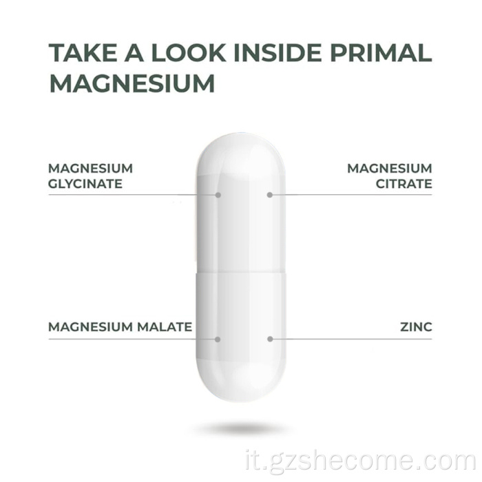 Shecome Capsule di magnesio Supporto per nervi muscolari e cuore
